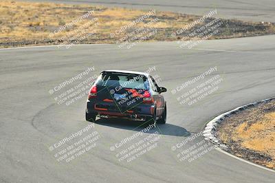 media/Feb-01-2025-Turn8 Trackdays (Sat) [[5681b0f63a]]/Inter 2/Session 1 (Turns 4b and 5)/